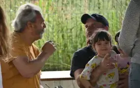 37