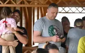 31
