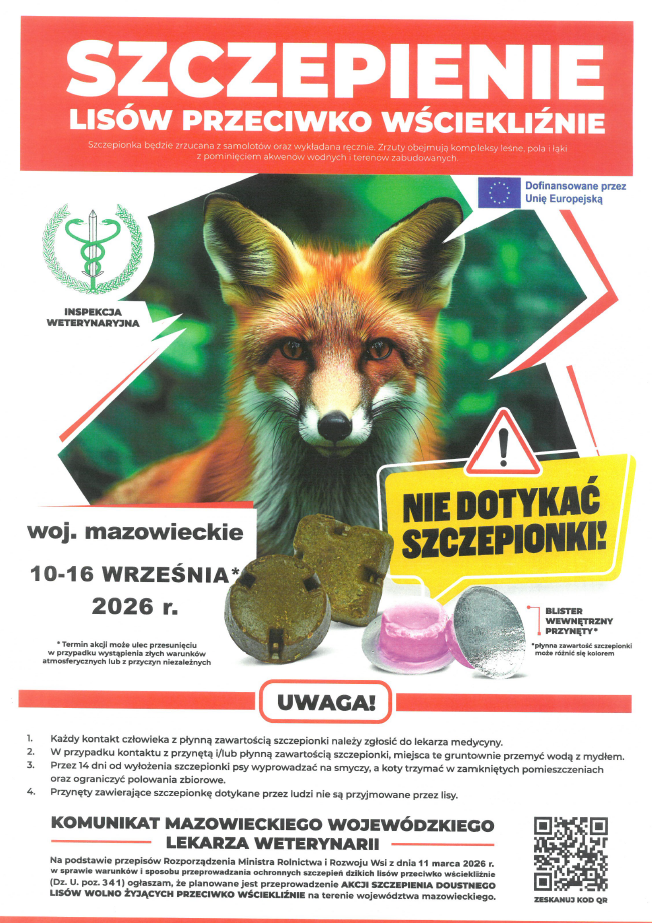 Szczepienie lis&oacute;w 2026.09