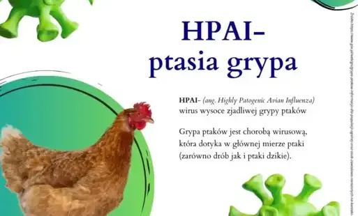 HPAI - Ptasia Grypa - infografika