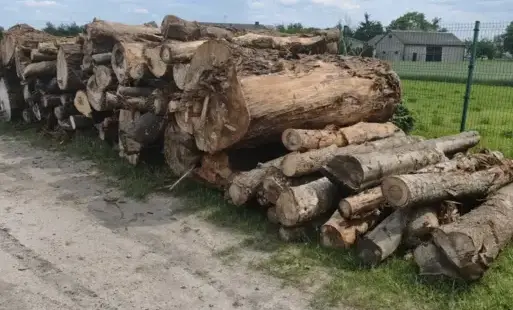 Drewno z wycinki CPK dla potrzebujących mieszkańców Gminy Sochaczew