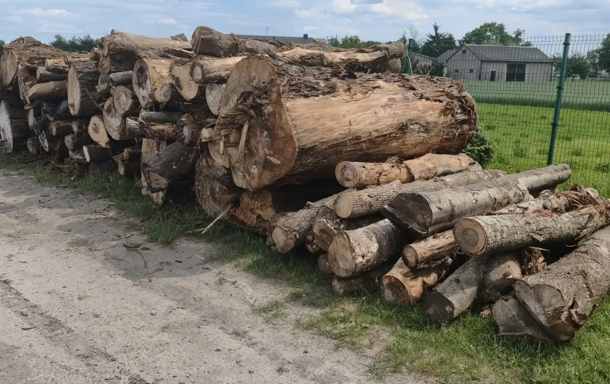 Drewno z wycinki CPK dla potrzebujących mieszkańców Gminy Sochaczew