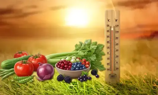 Zdjęcie do Nab&oacute;r zgłoszeń w sprawie szk&oacute;d spowodowanych przez wysokie temperatury